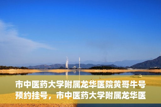 市中医药大学附属龙华医院黄哥牛号预约挂号，市中医药大学附属龙华医院黄哥牛号预约挂号攻略揭秘