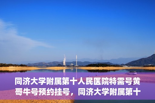 同济大学附属第十人民医院特需号黄哥牛号预约挂号，同济大学附属第十医院特需号专家黄哥牛号预约挂号攻略