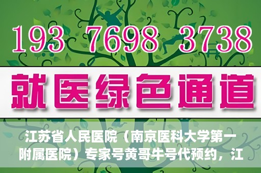 江苏省人民医院（南京医科大学第一附属医院）专家号黄哥牛号代预约，江苏省人民医院专家号预约服务解析，黄哥牛号代预约指南