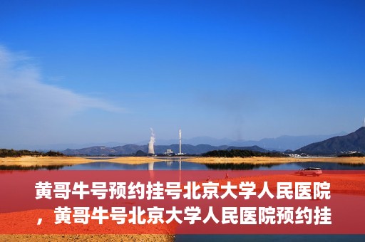 黄哥牛号预约挂号北京大学人民医院，黄哥牛号北京大学人民医院预约挂号攻略