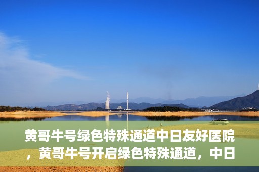 黄哥牛号绿色特殊通道中日友好医院，黄哥牛号开启绿色特殊通道，中日友好医院展现友好服务新篇章