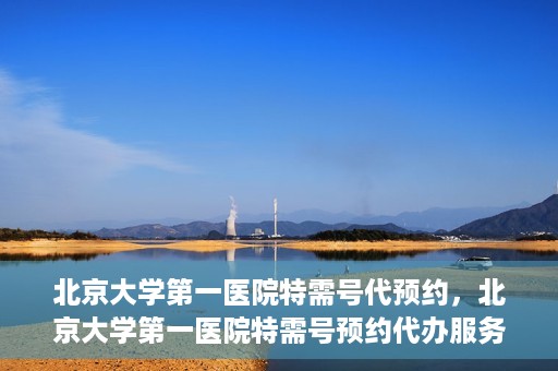 北京大学第一医院特需号代预约，北京大学第一医院特需号预约代办服务解析