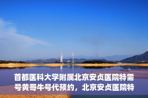 首都医科大学附属北京安贞医院特需号黄哥牛号代预约，北京安贞医院特需号黄哥预约服务解析，便捷就医新选择