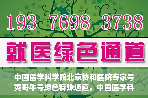 中国医学科学院北京协和医院专家号黄哥牛号绿色特殊通道，中国医学科学院北京协和医院专家号黄哥牛号，绿色特殊通道的医学力量探索