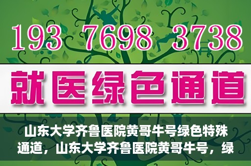山东大学齐鲁医院黄哥牛号绿色特殊通道，山东大学齐鲁医院黄哥牛号，绿色特殊通道开启健康之门