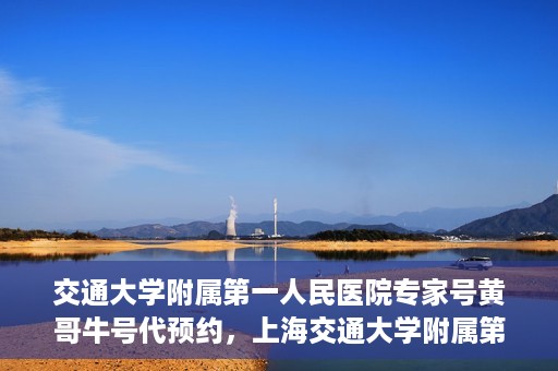 交通大学附属第一人民医院专家号黄哥牛号代预约，上海交通大学附属第一人民医院专家号预约服务解析，黄哥牛号预约攻略揭秘