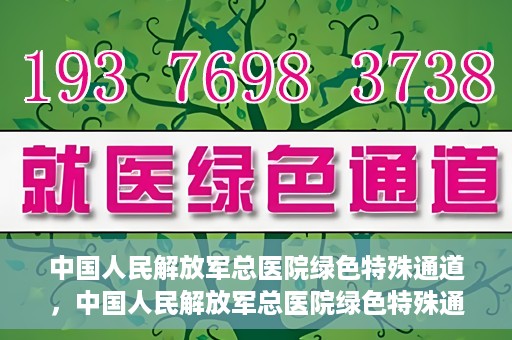 中国人民解放军总医院绿色特殊通道，中国人民解放军总医院绿色特殊通道，医疗服务的紧急通道与人文关怀的完美结合