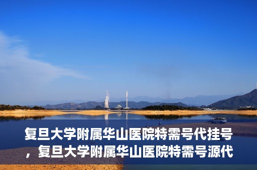 复旦大学附属华山医院特需号代挂号，复旦大学附属华山医院特需号源代挂号服务解析
