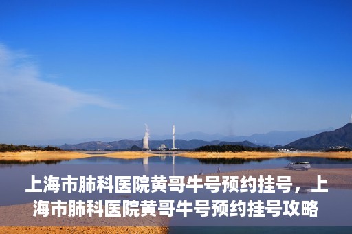上海市肺科医院黄哥牛号预约挂号，上海市肺科医院黄哥牛号预约挂号攻略，轻松掌握挂号秘籍