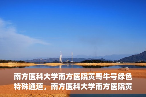 南方医科大学南方医院黄哥牛号绿色特殊通道，南方医科大学南方医院黄哥牛号，绿色特殊通道开启健康之门