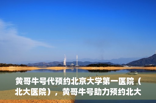 黄哥牛号代预约北京大学第一医院（北大医院），黄哥牛号助力预约北大医院——北京大学第一医院权威预约服务开启
