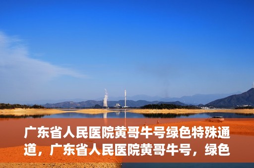 广东省人民医院黄哥牛号绿色特殊通道，广东省人民医院黄哥牛号，绿色特殊通道开启健康之门