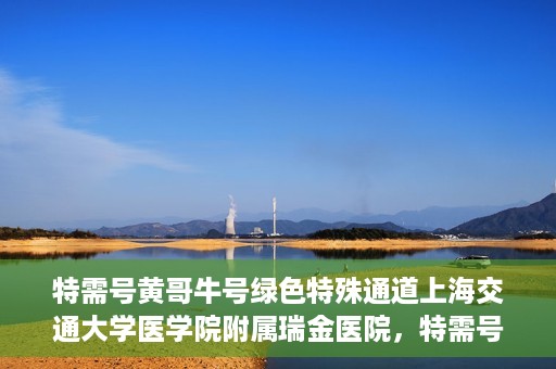 特需号黄哥牛号绿色特殊通道上海交通大学医学院附属瑞金医院，特需号黄哥牛号，瑞金医院的绿色特殊通道探索