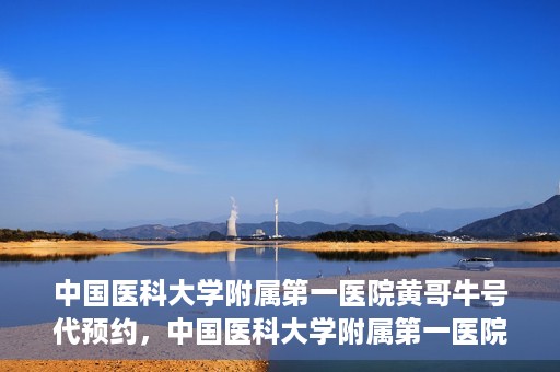 中国医科大学附属第一医院黄哥牛号代预约，中国医科大学附属第一医院黄哥牛号预约服务详解