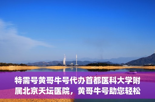 特需号黄哥牛号代办首都医科大学附属北京天坛医院，黄哥牛号助您轻松预约天坛医院特需号——代办首都医科大学附属北京天坛医院特需服务新体验
