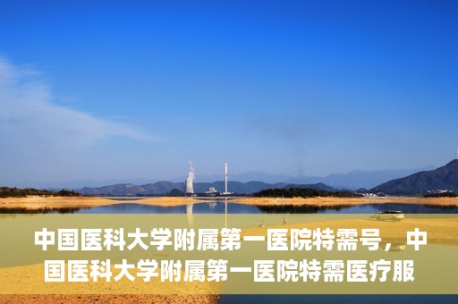 中国医科大学附属第一医院特需号，中国医科大学附属第一医院特需医疗服务介绍