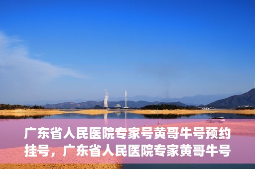 广东省人民医院专家号黄哥牛号预约挂号，广东省人民医院专家黄哥牛号预约挂号攻略