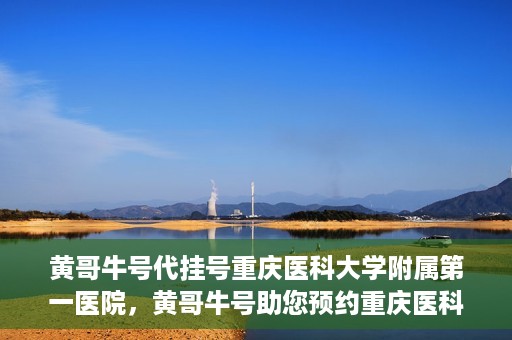 黄哥牛号代挂号重庆医科大学附属第一医院，黄哥牛号助您预约重庆医科大学附属第一医院挂号服务