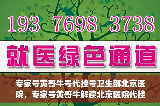 专家号黄哥牛号代挂号卫生部北京医院，专家号黄哥牛解读北京医院代挂号新政，卫生部权威解读与深度剖析