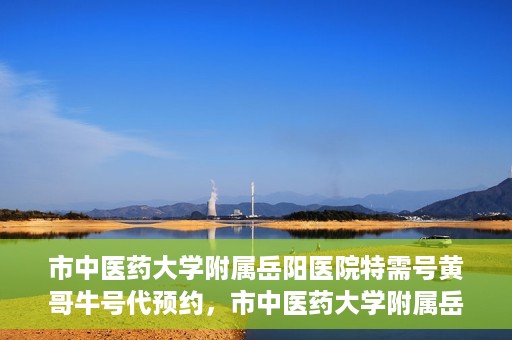 市中医药大学附属岳阳医院特需号黄哥牛号代预约，市中医药大学附属岳阳医院黄哥牛号特需预约服务解析