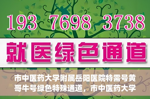 市中医药大学附属岳阳医院特需号黄哥牛号绿色特殊通道，市中医药大学附属岳阳医院黄哥牛号特需绿色就医通道揭秘
