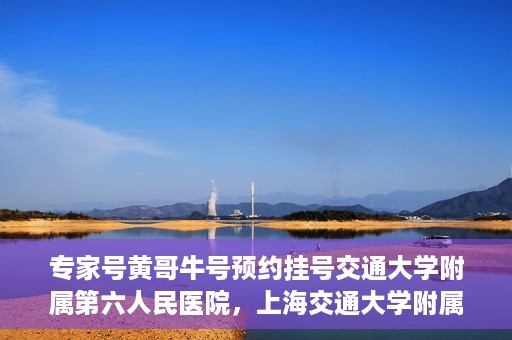 专家号黄哥牛号预约挂号交通大学附属第六人民医院，上海交通大学附属第六人民医院专家号黄哥牛号预约挂号指南