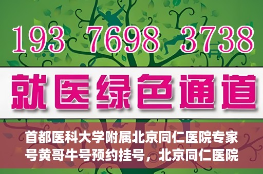 首都医科大学附属北京同仁医院专家号黄哥牛号预约挂号，北京同仁医院专家黄哥牛号预约挂号攻略，专业医疗，一键预约体验