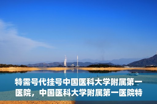 特需号代挂号中国医科大学附属第一医院，中国医科大学附属第一医院特需号代挂号服务详解