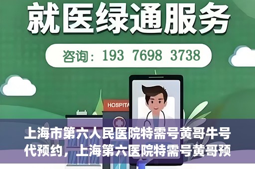 上海市第六人民医院特需号黄哥牛号代预约，上海第六医院特需号黄哥预约服务解析，专业代预约，便捷就医新选择