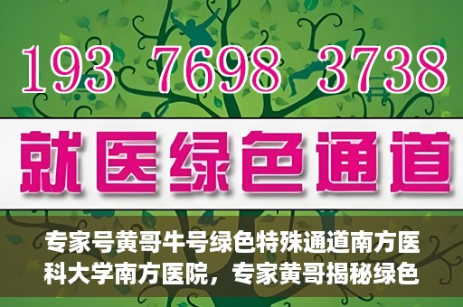 专家号黄哥牛号绿色特殊通道南方医科大学南方医院，专家黄哥揭秘绿色特殊通道，南方医科大学南方医院的深度探索