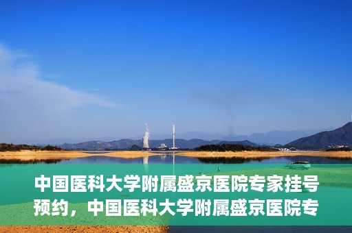 中国医科大学附属盛京医院专家挂号预约，中国医科大学附属盛京医院专家挂号预约攻略，一站式预约服务解析