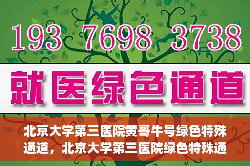 北京大学第三医院黄哥牛号绿色特殊通道，北京大学第三医院绿色特殊通道，黄哥牛号的探索与实践