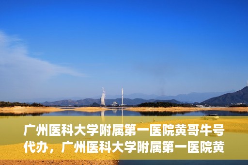 广州医科大学附属第一医院黄哥牛号代办，广州医科大学附属第一医院黄哥牛号挂号代办攻略
