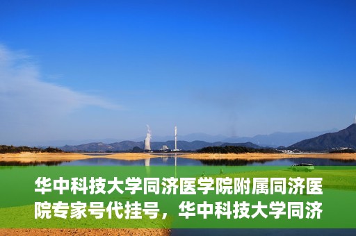 华中科技大学同济医学院附属同济医院专家号代挂号，华中科技大学同济医院专家号代挂号服务解析