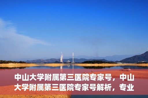 中山大学附属第三医院专家号，中山大学附属第三医院专家号解析，专业医疗团队为您的健康保驾护航
