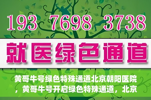 黄哥牛号绿色特殊通道北京朝阳医院，黄哥牛号开启绿色特殊通道，北京朝阳医院助力健康之路