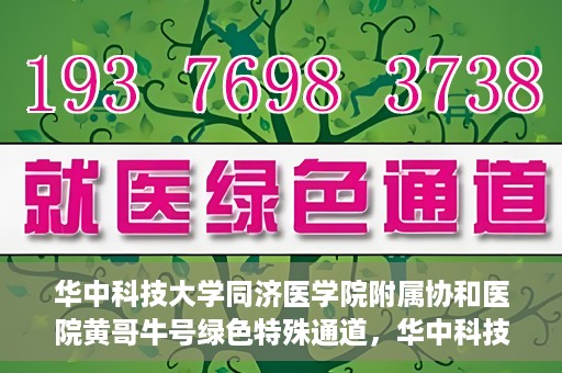 华中科技大学同济医学院附属协和医院黄哥牛号绿色特殊通道，华中科技大学同济医学院附属协和医院黄哥牛号绿色就医特殊通道揭秘