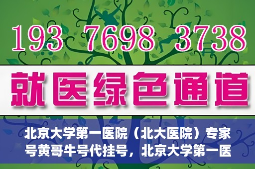 北京大学第一医院（北大医院）专家号黄哥牛号代挂号，北京大学第一医院专家号代挂号服务解析，黄哥牛号代挂号详解