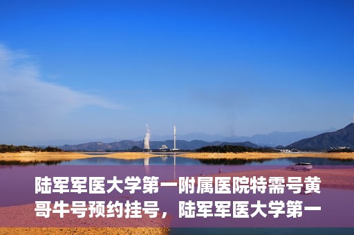 陆军军医大学第一附属医院特需号黄哥牛号预约挂号，陆军军医大学第一附属医院特需号预约挂号攻略，黄哥牛号助你轻松就医