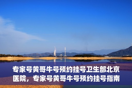 专家号黄哥牛号预约挂号卫生部北京医院，专家号黄哥牛号预约挂号指南，北京医院卫生部挂号攻略