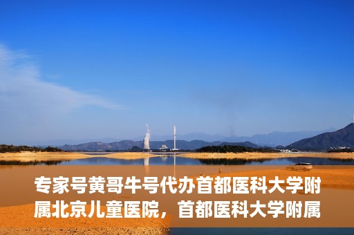 专家号黄哥牛号代办首都医科大学附属北京儿童医院，首都医科大学附属北京儿童医院专家号代办服务揭秘，黄哥牛号助您轻松预约专家号
