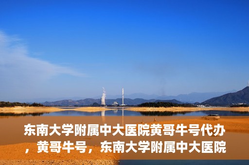 东南大学附属中大医院黄哥牛号代办，黄哥牛号，东南大学附属中大医院的代办之路