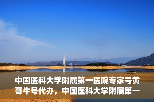 中国医科大学附属第一医院专家号黄哥牛号代办，中国医科大学附属第一医院专家号代办揭秘，黄哥牛号背后的故事
