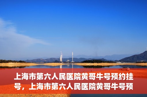 上海市第六人民医院黄哥牛号预约挂号，上海市第六人民医院黄哥牛号预约挂号攻略，轻松挂号，便捷就医体验