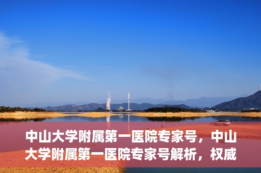 中山大学附属第一医院专家号，中山大学附属第一医院专家号解析，权威医疗团队的专业解读与诊疗之道