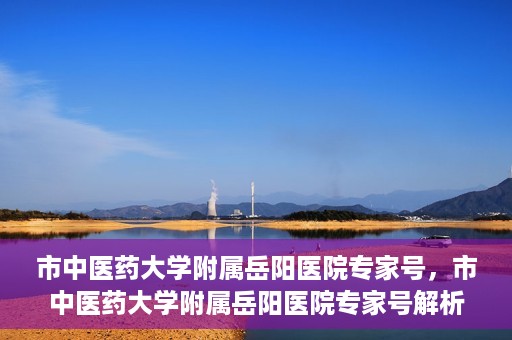市中医药大学附属岳阳医院专家号，市中医药大学附属岳阳医院专家号解析，权威医疗团队的专业解读与诊疗体验分享