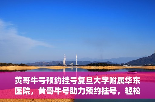 黄哥牛号预约挂号复旦大学附属华东医院，黄哥牛号助力预约挂号，轻松就医复旦大学附属华东医院