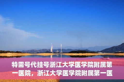 特需号代挂号浙江大学医学院附属第一医院，浙江大学医学院附属第一医院特需号代挂号服务解析