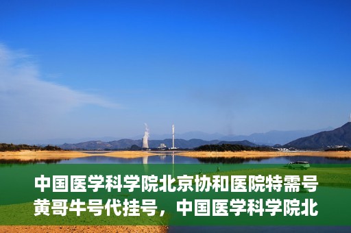 中国医学科学院北京协和医院特需号黄哥牛号代挂号，中国医学科学院北京协和医院特需号黄哥牛号代挂号服务解析