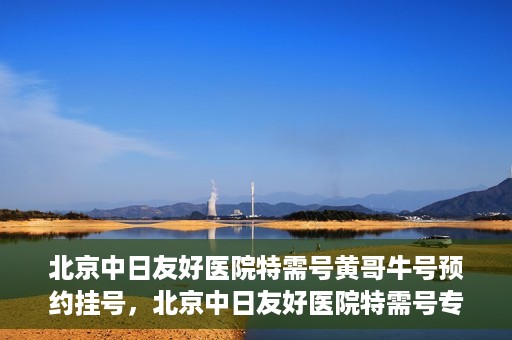 北京中日友好医院特需号黄哥牛号预约挂号，北京中日友好医院特需号专家黄哥牛号预约挂号攻略